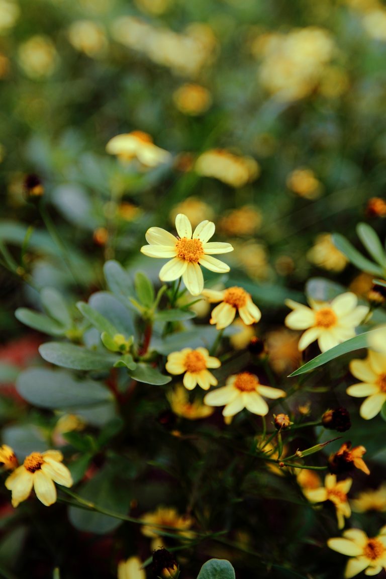 녹음이 짙어가는 어느 여름날