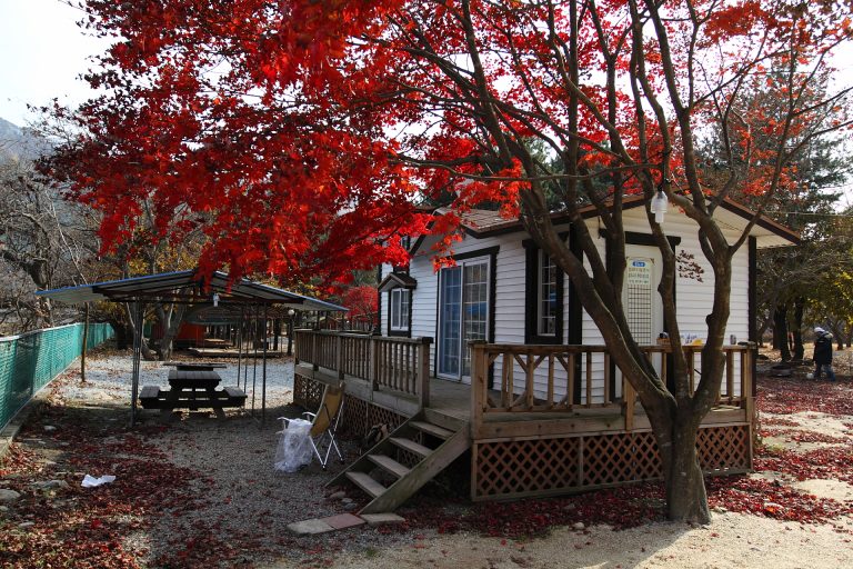 가을의 끝자락, 목동유원지 캠핑장에서