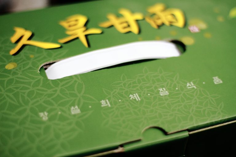 10일간의 절식 프로그램 시작