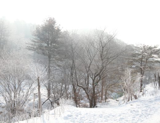삼정오토캠핑장 (45)