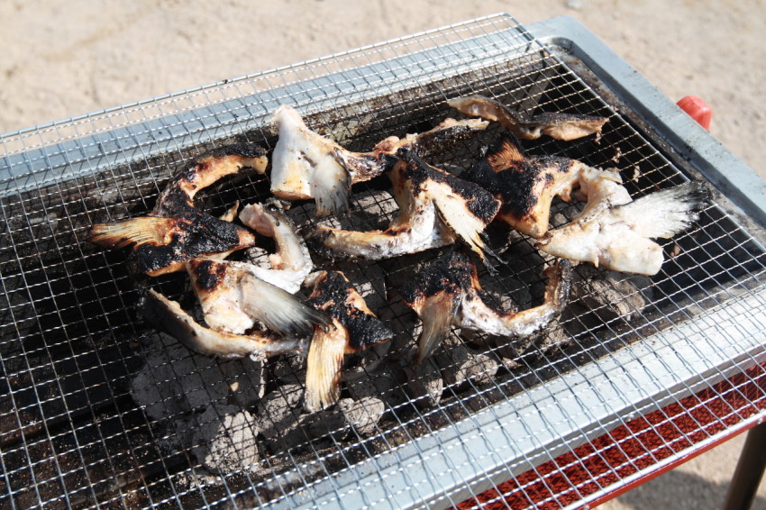 난지캠핑장 그늘막 피크닉 (15)