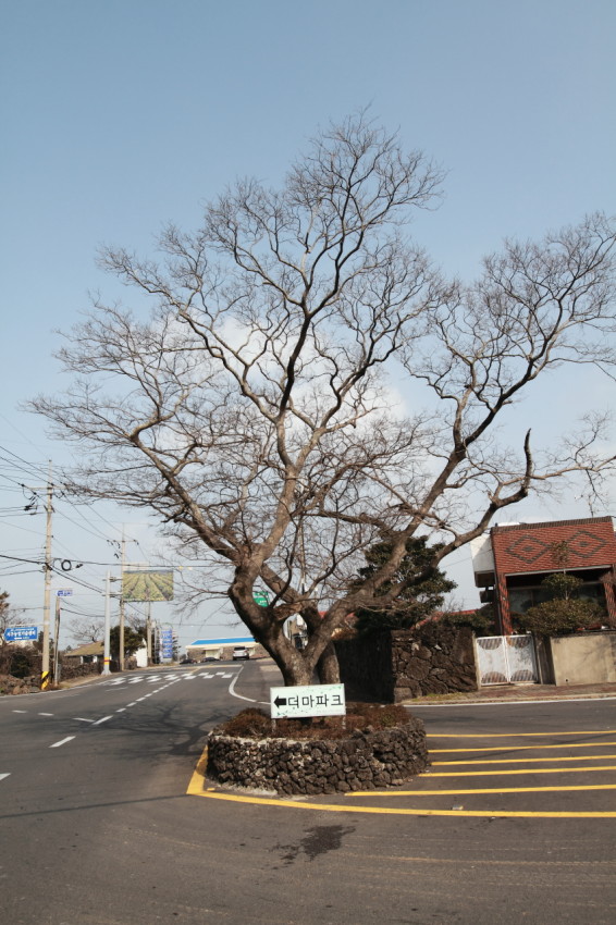 2013 제주 가족여행 (4)