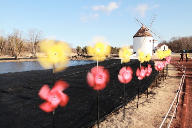 [2013제주여행#10] 에코랜드, 봄에가면 더 이쁠 것 같은 곳