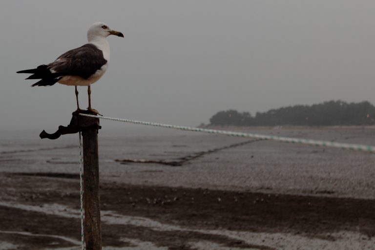 용유도 나들이 – 바닷바람이 시원했던 날