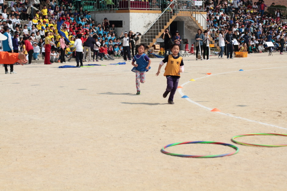 정릉초등학교 가을운동회 (23)