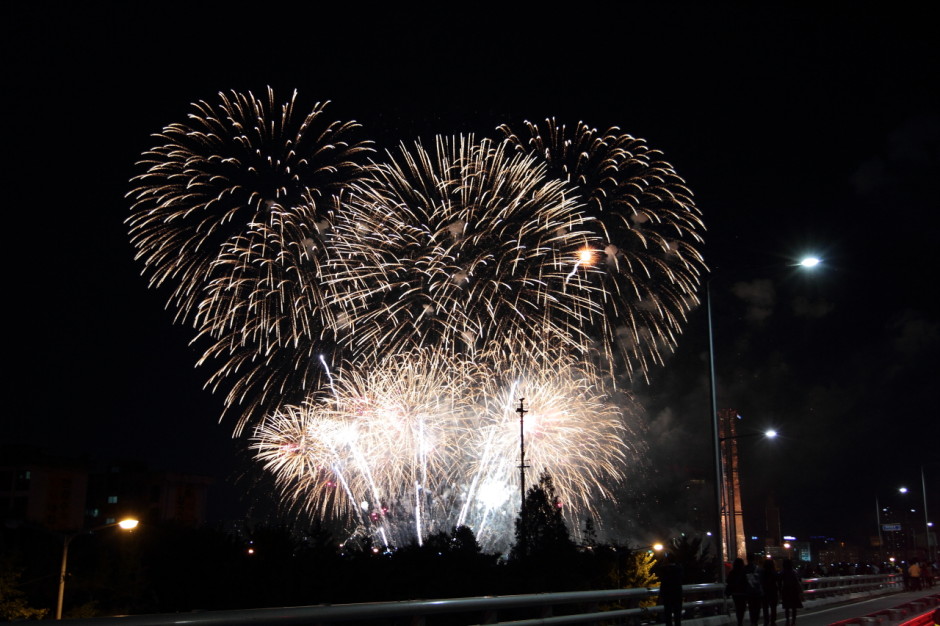 여의도 세계불꽃축제 (5)