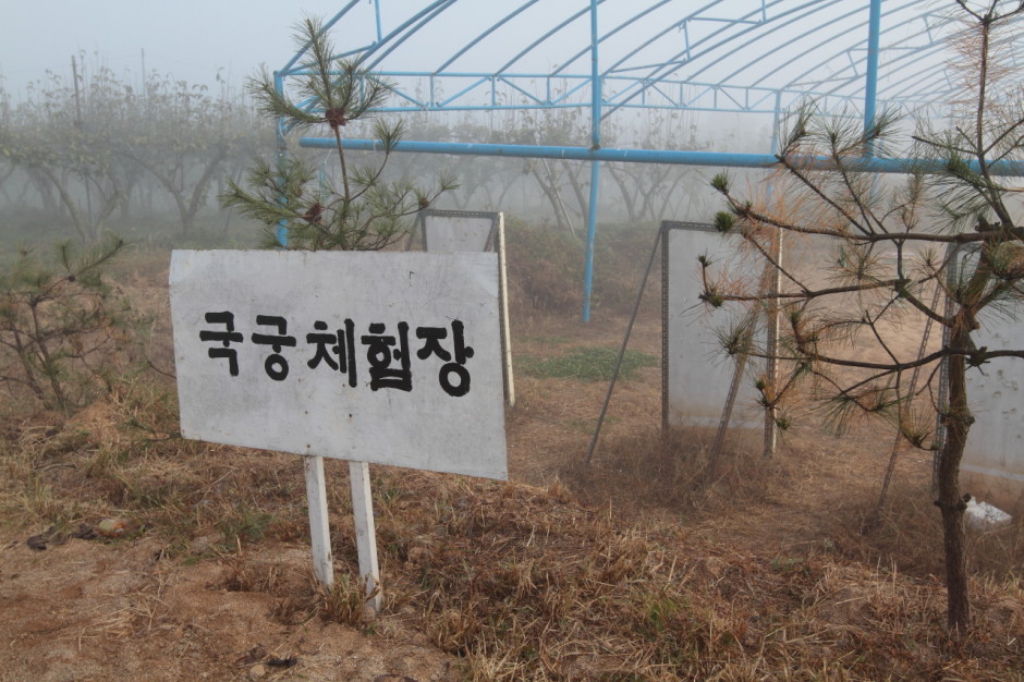 용인 해두리 오토캠핑장 (23)