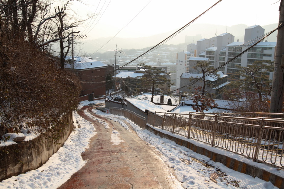 호주랑 눈썰매 (1)