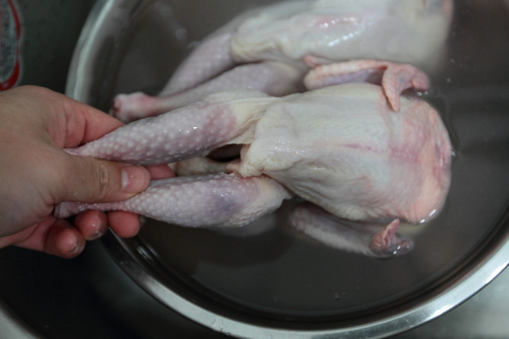 압력밥솥으로 삼계탕 백숙 끓이기 (4)