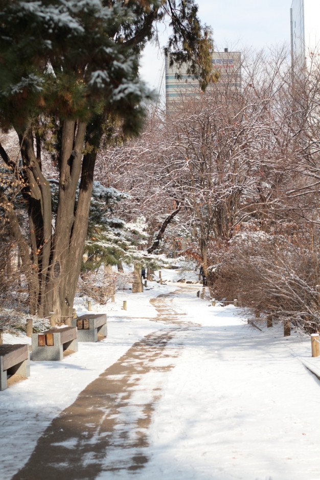 로코와 함께 덕수궁산책 (5)