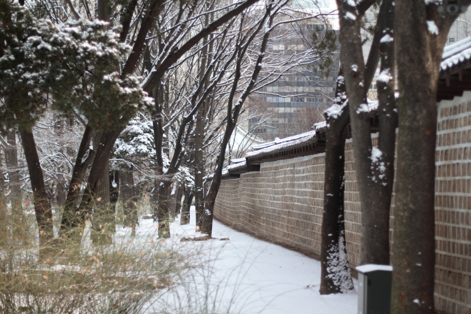 로코와 함께 덕수궁산책 (16)