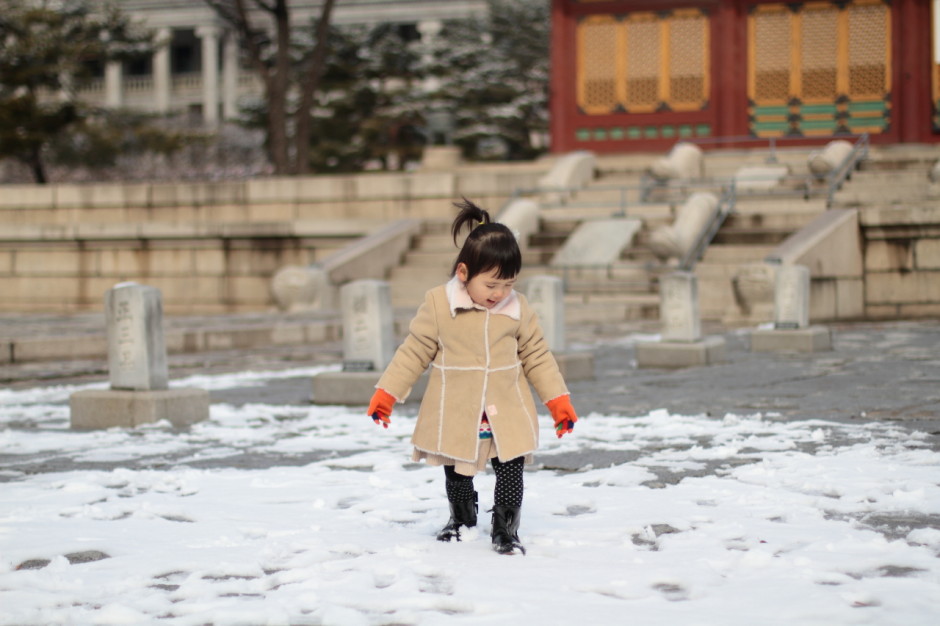 로코와 함께 덕수궁산책 (24)