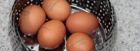집에서 맥반석 계란 만들기 (1)