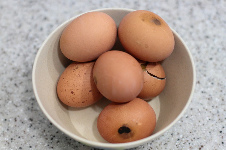 집에서 맥반석 계란 만들기 (8)