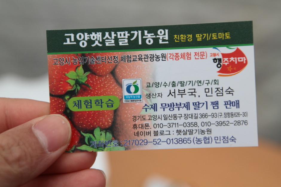 햇살농원 딸기체험농장 (22)
