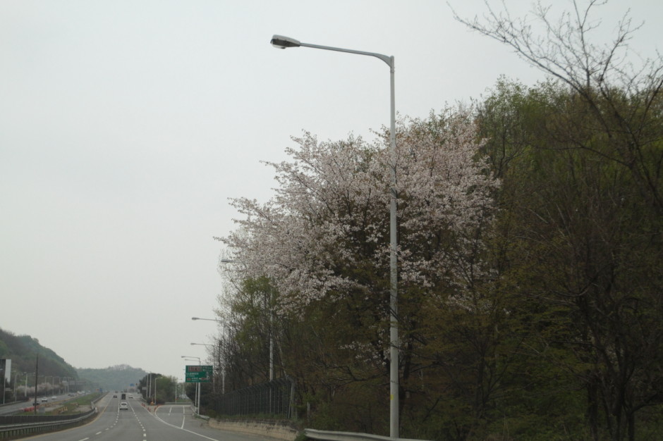 SK엔카 에코드라이버 선발대회 MKX 연비 (36)