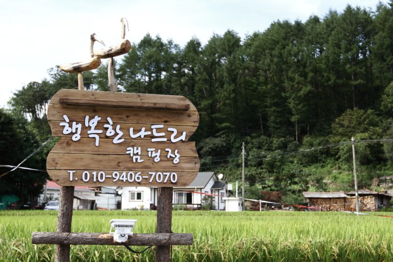 [제천 캠핑장] 행복한나드리 캠핑장에서 힐링하기