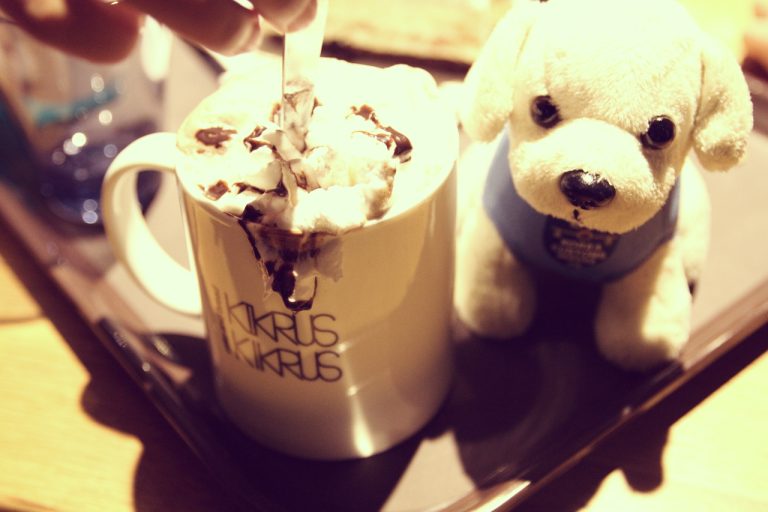 [Coffee] 강릉 커피거리 예쁜카페 KIKRUS COFFEE (키크러스 커피)