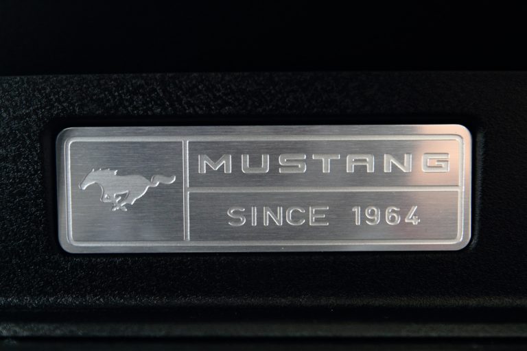 [Car] 포드 삼성전시장에서 만나본 신형 머스탱