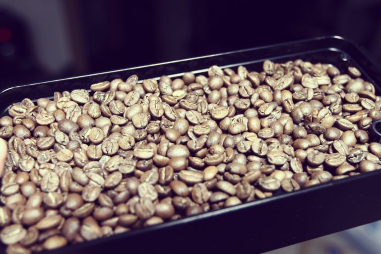 [Coffee] 유니온커피로스터표 코스타리카 타라주 아마폴라 시음기