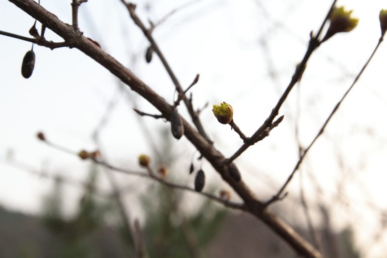 [가평 캠핑장] 가평 Go펜션&캠핑장에서의 봄맞이 릭떵차 캠핑대회
