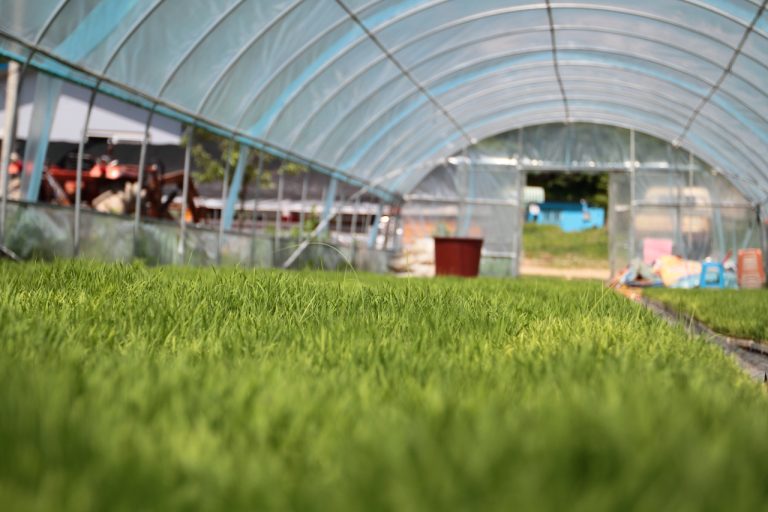 [농촌체험마을] 아이들과 함께 즐거운 체험학습 – 원평팜스테이