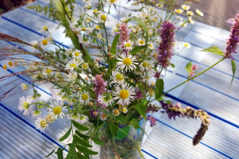 살둔마을 엘림리조트 캠핑장에서의 즐거운 추억