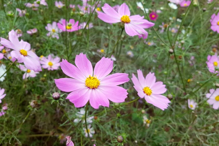조용한 강원도 영월 캠핑장, 두산오토캠핑장에서의 2박 3일 힐링여행