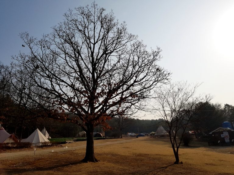 2017년 첫 캠핑, 용인 청룡캠핑장에서의 1박 2일