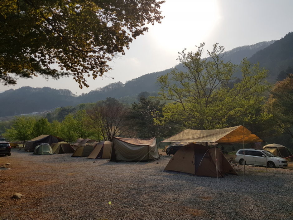 살둔마을 캠핑장 (21)