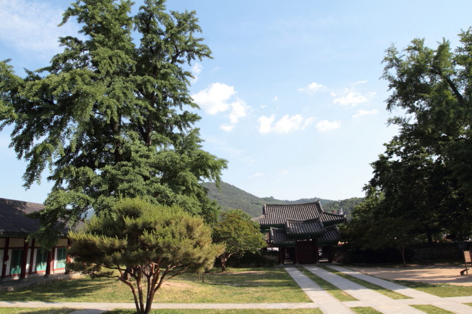 전주 한옥마을 여행 (33)