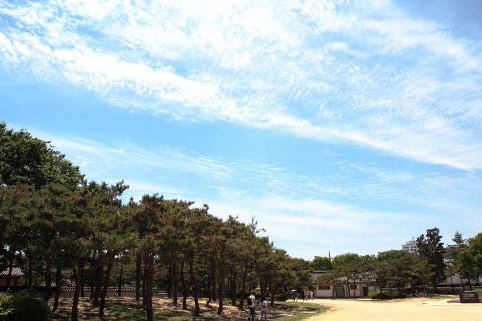 전주 한옥마을 여행 (52)