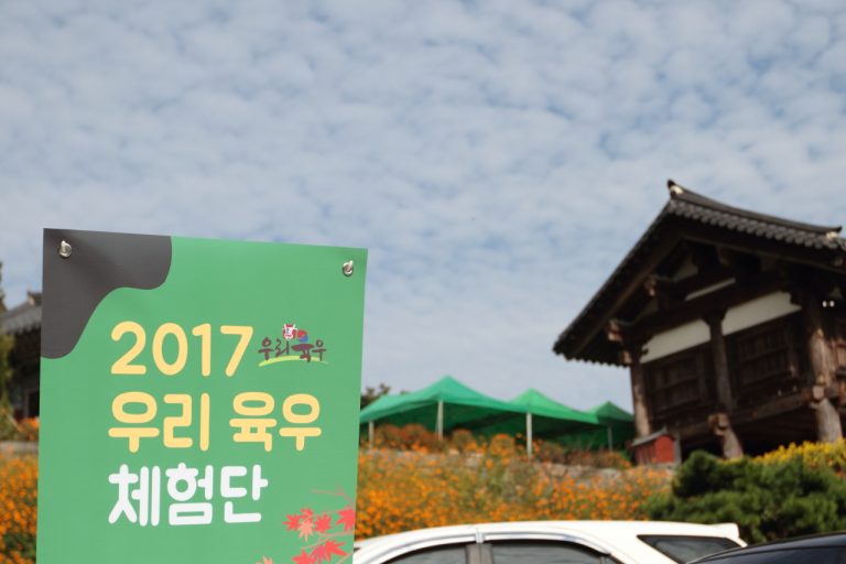 국내산 소고기, 우리육우와 함께한 안성 가을여행