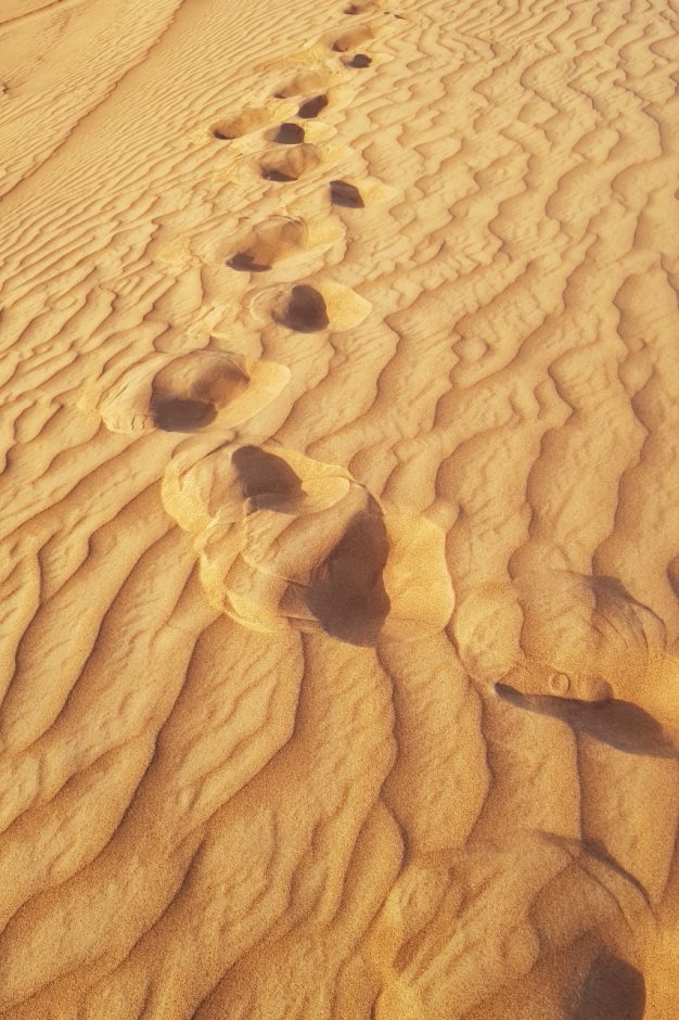 두바이 사막투어 (21)