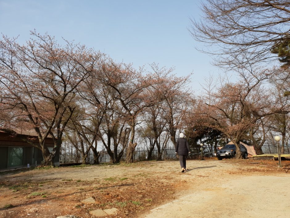 해솔마을 캠핑장 (11)