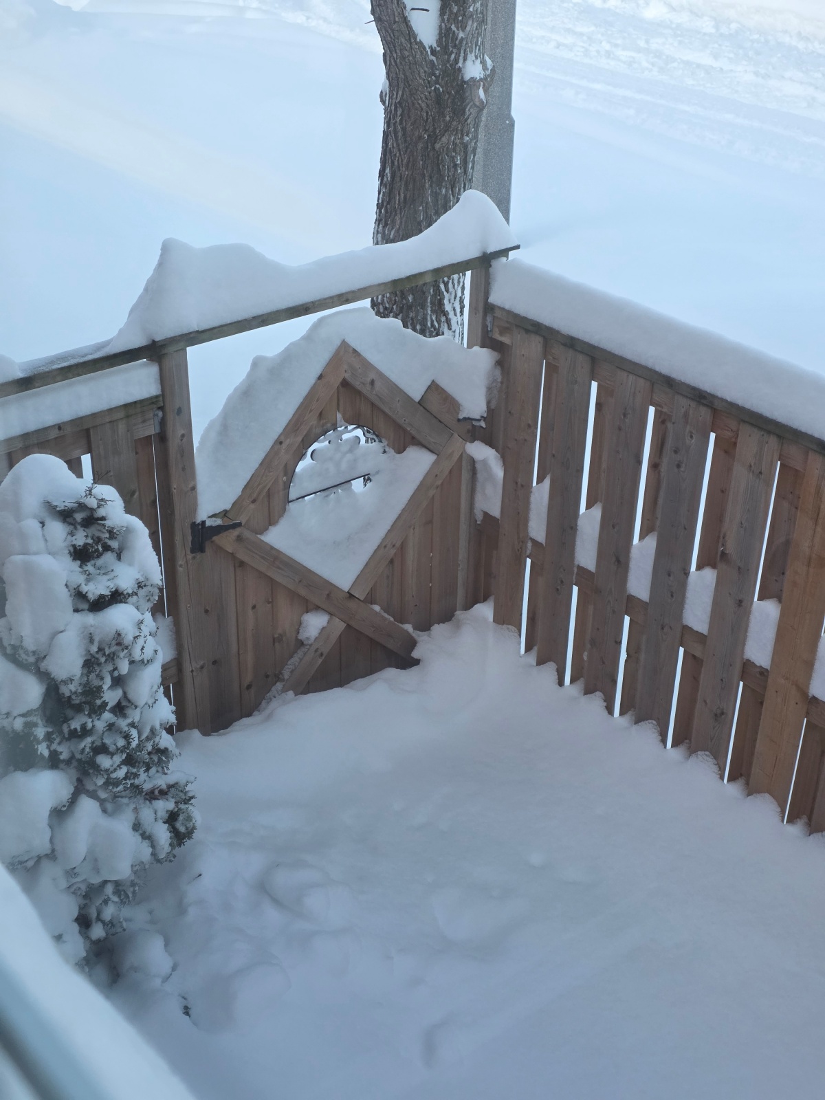 Morning view of snow piled on a backyard deck after an overnight snowstorm