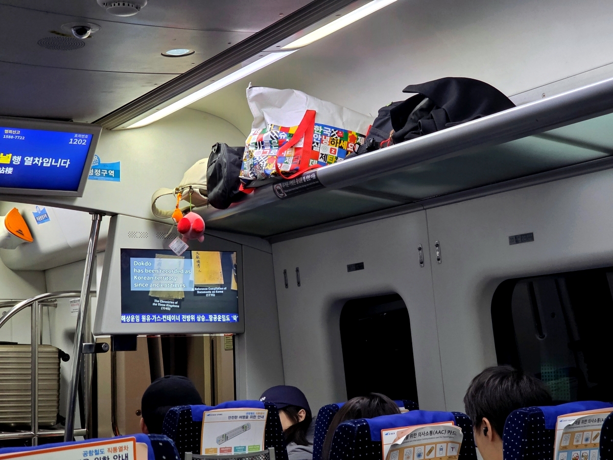 arex express luggage rack