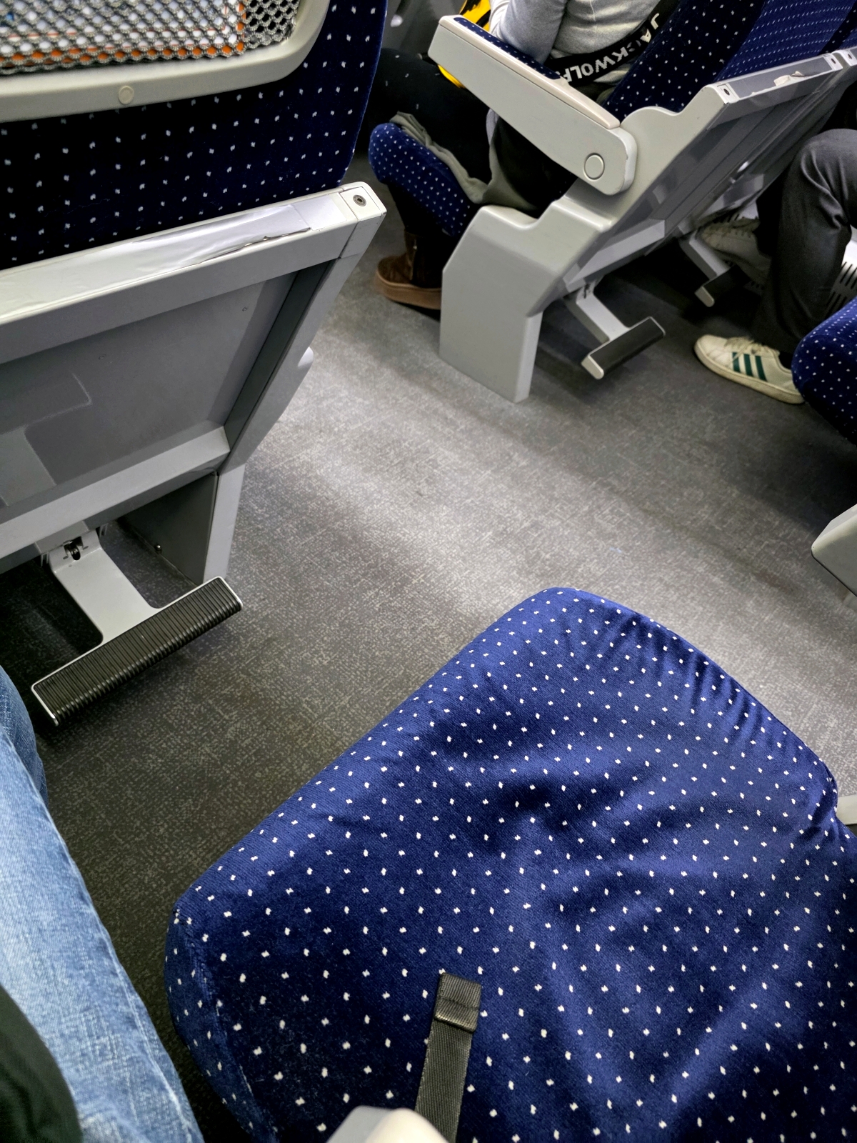 arex express train seat detail