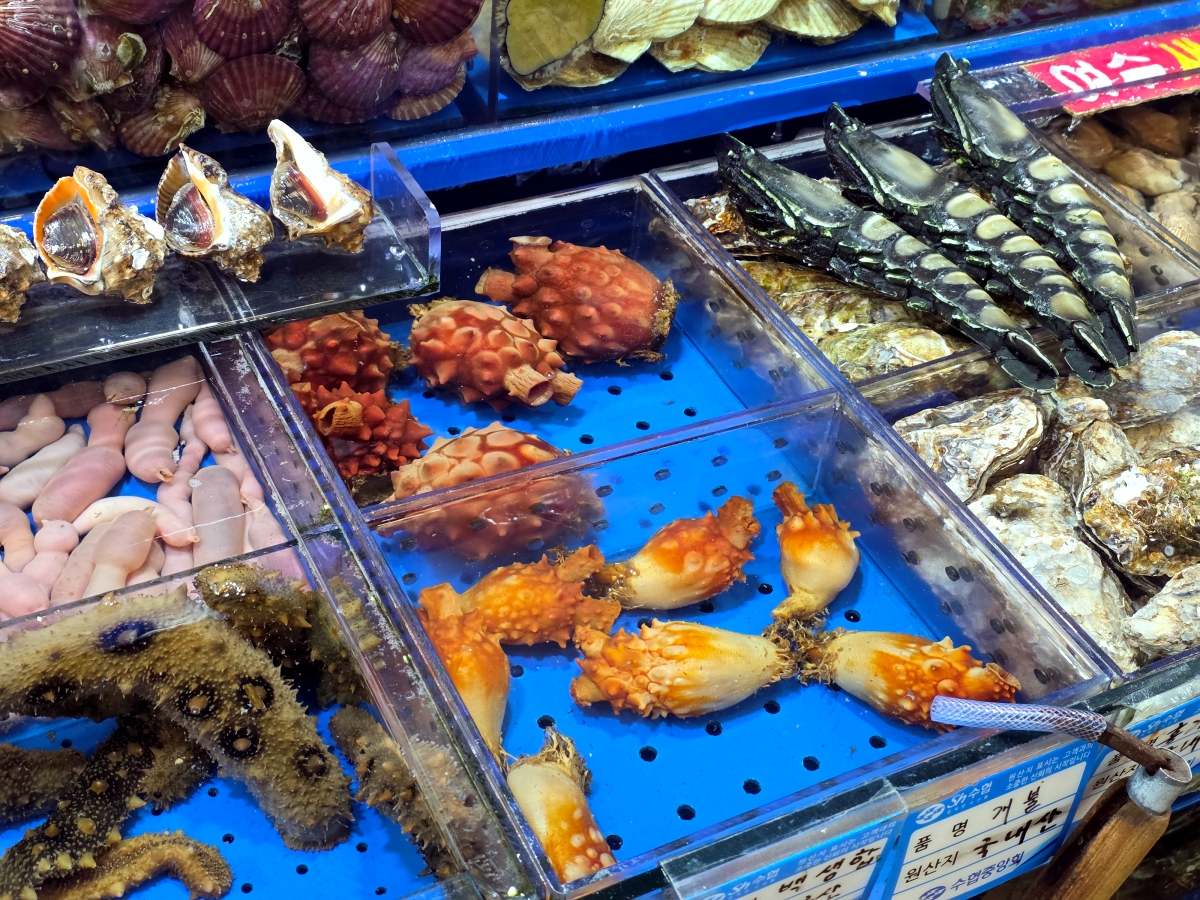 Sea squirt sea cucumber spoon worm and sea snail at Seoul fish market Noryangjin