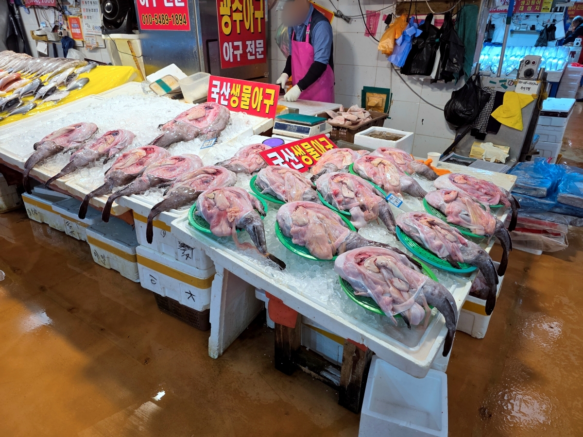 Large monkfish 15000 KRW at Seoul fish market Noryangjin for group meal